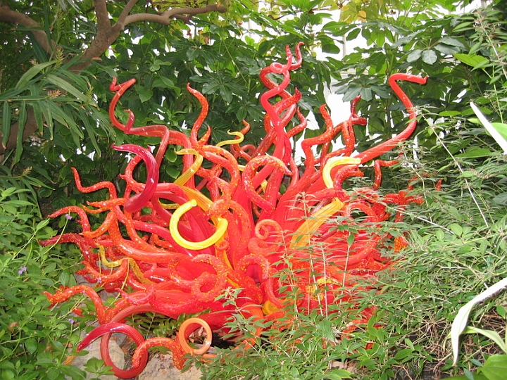 IMG_5690 Dale Chihuly art at Pittsburgh Phipps Conservatory.jpg